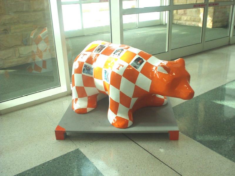 This bear has exhibited in the University of Tennessee